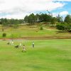 Dalat Palace Golf Club - Vietnam golf packages